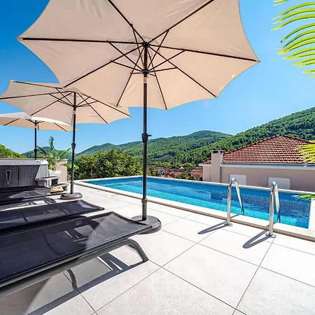 度假居 Amazing In With Private Swimming Pool, Be Inside Or Outside Blato (Korcula)